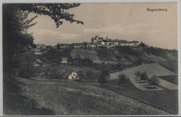 Regensberg - Gesamtansicht - Hotel Krone - Photo: Wehrli - Regensberg