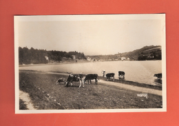 * CPSM Photo..22..JUGON : Vue Générale Et L' Etang..n°3290..Scan D : Voir 2 Scans - Jugon-les-Lacs