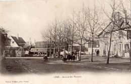 LERE AVENUE DES PLATANES (CARTE PRECURSEUR) - Lere