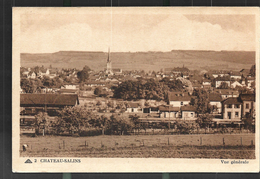 Chateau Salins Vue Générale - Chateau Salins