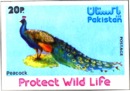 BIRDS-PHEASANTS-PEACOCK-PROTECT WILD LIFE-IMPERF-20p-PAKISTAN-MNH-SCARCE-D4-27 - Paons