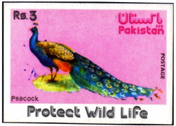 BIRDS-PHEASANTS-PEACOCK-PROTECT WILD LIFE-IMPERF-Rs 3-PAKISTAN-MNH-SCARCE-D4-27 - Peacocks