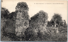 53 - BAIS --  Le Brubricaire - Ruines  Gallo Romaines - Bais