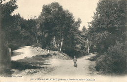 23  DUN LE PALLETEAU  -  ENTREE DU BOIS DE CHABANNE - Dun Le Palestel