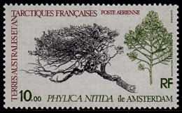 A0828 TAAF (French Antarctic Territories) 1980, SG 147 Tree, Plant, Phylica Nitida,  MNH - Usados