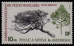 A0828 TAAF (French Antarctic Territories) 1980, SG 147 Tree, Plant, Phylica Nitida,  MNH - Used Stamps