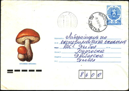 Mailed Cover (letter)  Mushrooms 1988 From Bulgaria - Covers & Documents