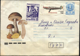 Mailed Cover (letter)  Mushrooms 1990 With Stamp From Bulgaria - Covers & Documents