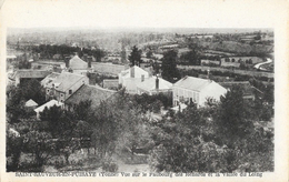 St Saint-Sauveur-de-Puisaye (Yonne) -Vue Sur Le Faubourg Des Renards Et La Vallée Du Loing - Carte Non Circulée - Saint Sauveur En Puisaye