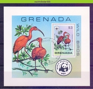 NaaF19g WWF FAUNA VOGELS IBIS BIRDS VÖGEL AVES OISEAUX GRENADA 1977 Gebr/used - Oblitérés