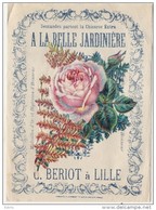 - Chromo Découpis  Chicorée BERIOT LILLE - Sur Son Support D'origine  La Belle Jardinniere - 12cm Par 18 Cm  Colombe - Bloemen