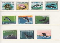 TURKS & CAICOS ISLANDS 1979 ENDANGERED WILDLIFE 4 STAMPS MNH + 1983 WHALES 6 STAMPS MNH - Turks & Caicos