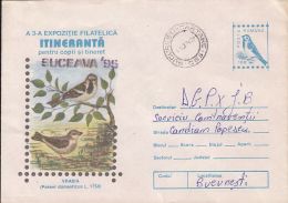BIRDS, HOUSE SPARROW, COVER STATIONERY, ENTIER POSTAL, 1996, ROMANIA - Mussen