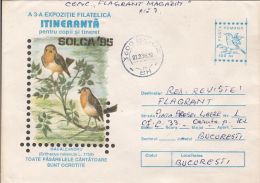 BIRDS, EUROPEAN ROBIN, COVER STATIONERY, ENTIER POSTAL, 1996, ROMANIA - Mussen