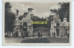 CARL HAGENBECK'S TIERPARK , HAMBURG. OLD POSTCARD C. 1910 #519. - Stellingen