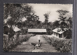 CPSM GABON - Dépendances D'une Ecole - TB PLAN Edifices Etablissement Scolaire ENSEIGNEMENT - Gabon