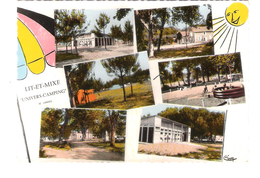 France - Lit Et Mixe - Landes - Univers Camping - Old Views - Villeneuve De Marsan