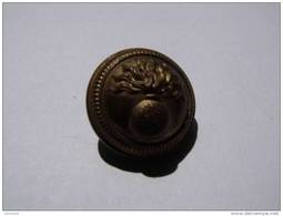 BOUTON - MILITAIRE - GRENADE - GRENELE - CHAPSAL & MICHAUD - PARIS - 22 Mm DE DIAMETRE - Boutons