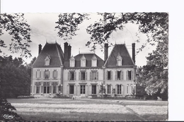 1 CPSM Petit Format. La Ferté-St-Aubin. Château St-Rémi-les-Madères (en Fait à Ardon) - La Ferte Saint Aubin