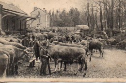 86  VIVONNE  La Gare Un Jour De Foire (TOP) - Vivonne