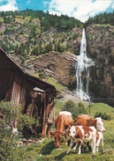 MALTATAL IN KARNTEN. TAL DER STURZENDEN WASSER - Spittal An Der Drau