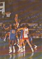 61519- BASKETBALL SPORTS - Baloncesto