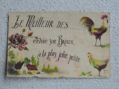 Carte Postale Humoristique COQ / POULE - Pájaros – Gallinas & Gallos