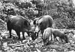 08 - FUMAY : L'Hotel Des Roches - Parc - Sangliers Des Ardennes CPSM Dentelée N/B GF 1961 - Ardennes  SANGLIER Boar - Other & Unclassified