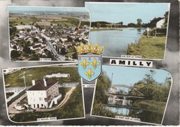 45 - AMILLY  - Souvenir - Amilly