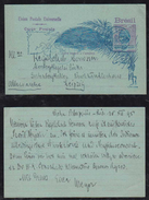 Brazil Brasil 1895 Stationery Card French PAQUEBOT PETROPOLIS To LEIPZIG Germany - Storia Postale