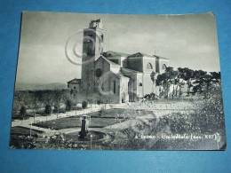 Cartolina Fermo - La Cattedrale 1959 - Ascoli Piceno
