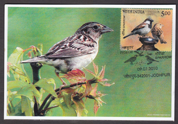 2010 Sparrows Maximum Card #19821 Inde India Indien - Sparrows