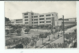 ALGERIE ORLEANSVILLE Groupes Scolaires - Chlef (Orléansville)