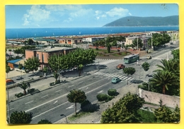 MARINA DI CARRARA Lido Di Paradiso  -  Auto Fiat , Bus - ITALIA .1965 - Carrara