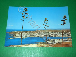 Delcampe - Cartolina Favignana ( Trapani ) - Panorama 1960 Ca - Trapani