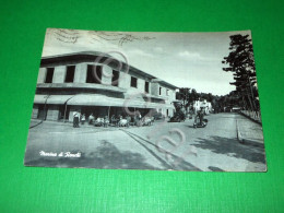 Delcampe - Cartolina Marina Di Ronchi - Particolare 1958 - Massa