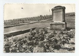 Viel Armand Ossuaire Du Cimetière Du Silberloch Cachet Au Dos - War Cemeteries