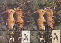 61621- HOOPOE, BIRD, MAXIMUM CARD, 2X, 1995, ROMANIA - Piciformes (pájaros Carpinteros)