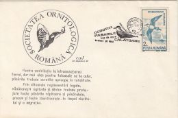 61625- POMARINE JAEGER, SKUA, KINGFISHER, BIRDS, SPECIAL COVER, 1993, ROMANIA - Albatros