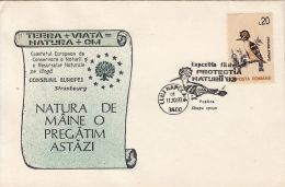 61763- HOOPOE, BIRDS, SPECIAL COVER, 1993, ROMANIA - Pics & Grimpeurs