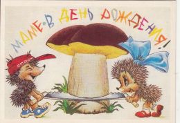 61773- HEDGEHOGS, MUSHROOMS - Hongos