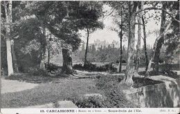 Carcassonne - Bords De L'Aude - Carcassonne