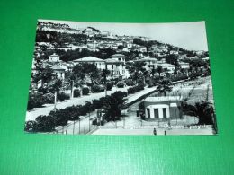 Cartolina Grottammare - Panorama Parziale 1955 - Ascoli Piceno