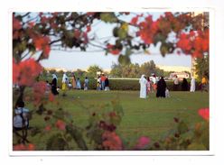 BAHRAIN - Public Park - Baharain