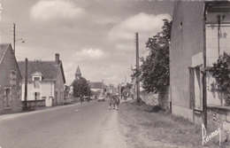 CARTE POSTALE   NOYERS SUR CHER 41  Entrée Du Bourg - Noyers Sur Cher