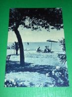Cartolina Cupra Marittima - Scorcio Di Spiaggia 1954 - Ascoli Piceno