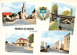 93-TREMBLAY-LES-GONESSE- MULTIVUES - Tremblay En France