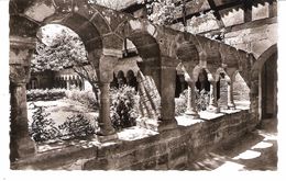 Feuchtwangen(Ansbach-Bayern-Bavière)-Kreuzgang-Cloître Roman-de La Collégiale-Echte Photographie - Feuchtwangen