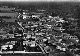 79-LE VANNEAU-IRLEAU- VUE GENERALE DU CIEL - Andere & Zonder Classificatie