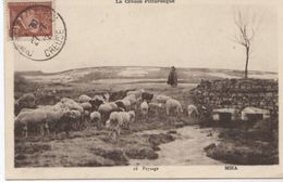 LA CREUSE PAYSAGE MOUTONS ET PETIT PONT 1942 POSTEE A DUNLE PALESTEL  TBE - Dun Le Palestel
